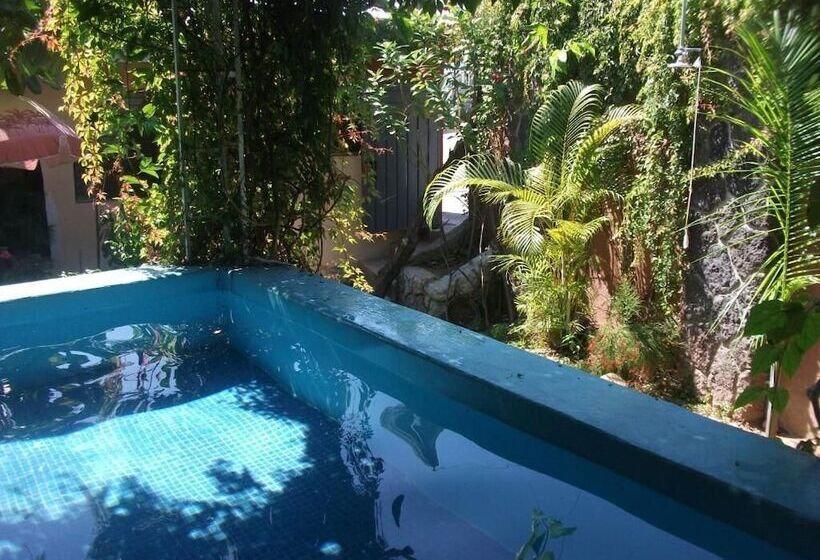 בית מלון כפרי Bigu