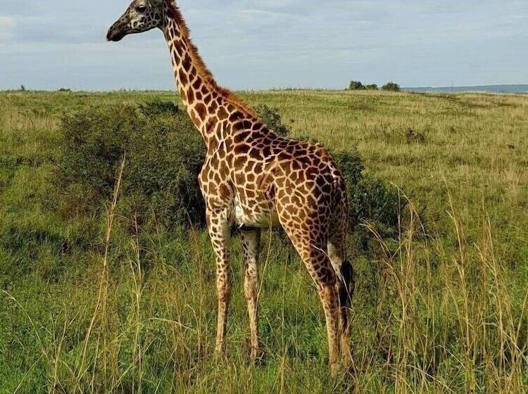 ホテル Ibis Styles Nairobi Westlands