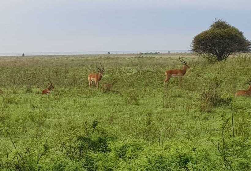 ホテル Ibis Styles Nairobi Westlands