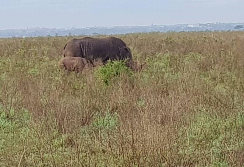 ホテル Ibis Styles Nairobi Westlands