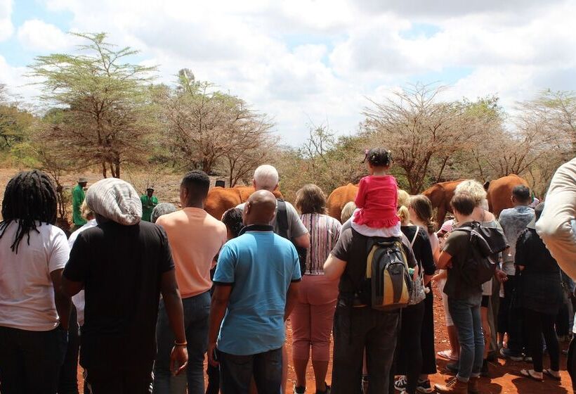 ホテル Ibis Styles Nairobi Westlands