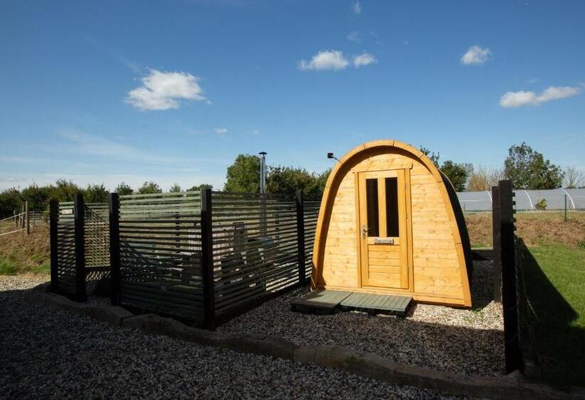 ホテル Pidley Bottom Cottages   Luxury Sc Rooms   Fully Furnished And Equipped   Kitchen   Towels And Linen