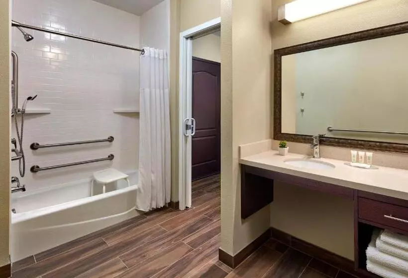 ホテル Staybridge Suites Anaheim At The Park, An Ihg