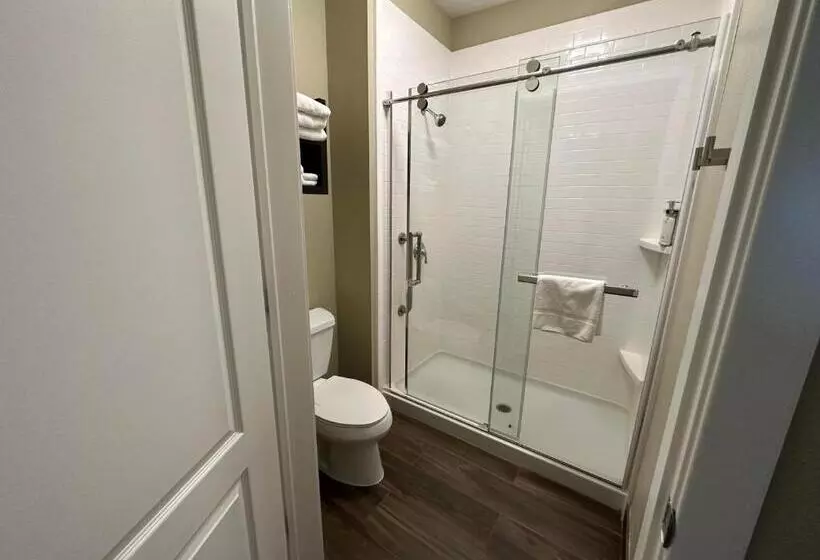 ホテル Staybridge Suites Anaheim At The Park, An Ihg