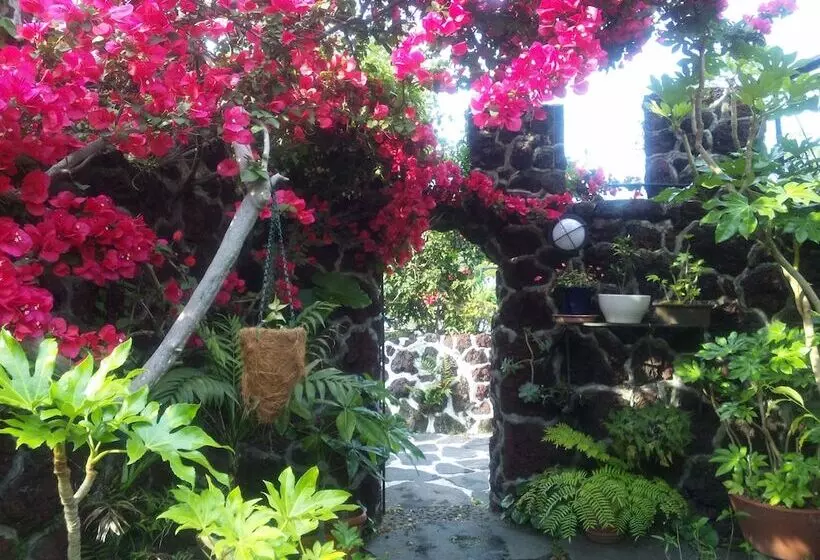 Jgarden