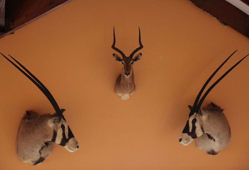 פנסיון Lili Bush Guesthouse