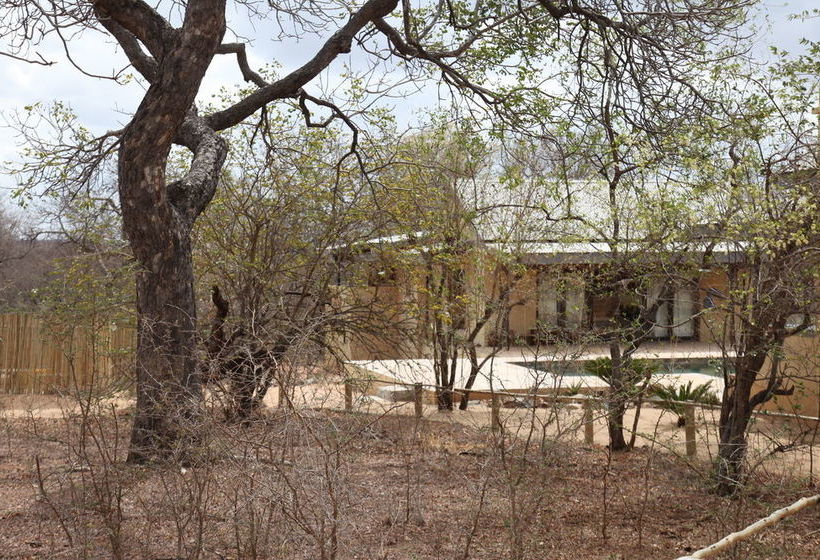 פנסיון Lili Bush Guesthouse
