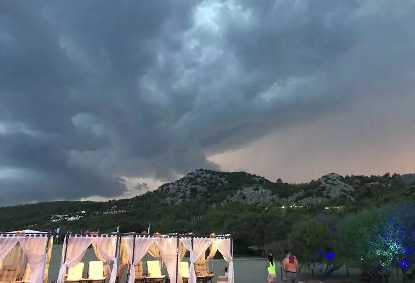 Hotelli Dolphin Park