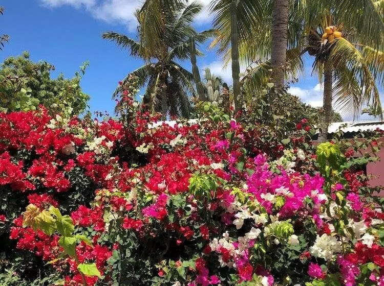 Thuishaven Adults Only Boutique Resort