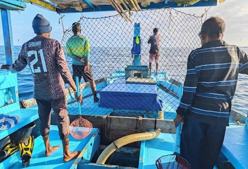 تختخواب و صبحانه Dhonfulhafi Beach View & Spa