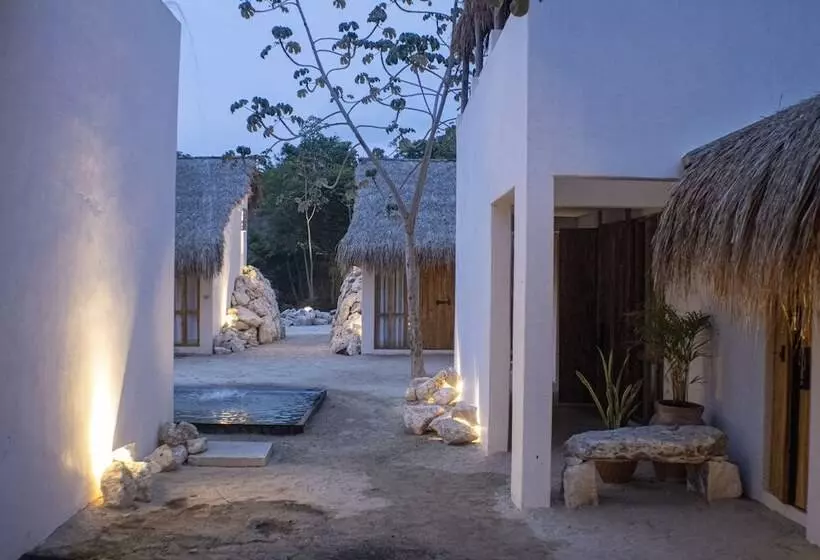 Bh Hotel & Cenote Tulum   Adults Only