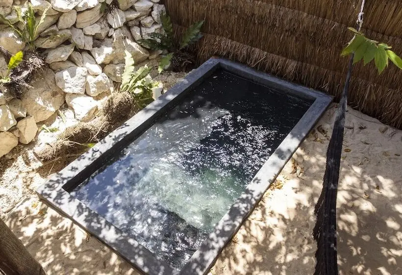 Bh Hotel & Cenote Tulum   Adults Only