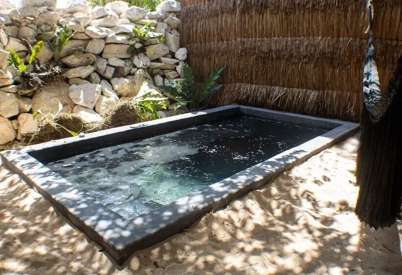 Bh Hotel & Cenote Tulum   Adults Only