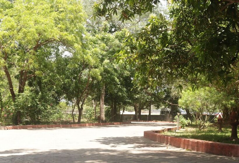 Golden Sun Beach Resort