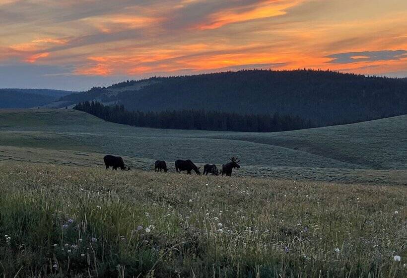 Отель Bear Lodge Resort