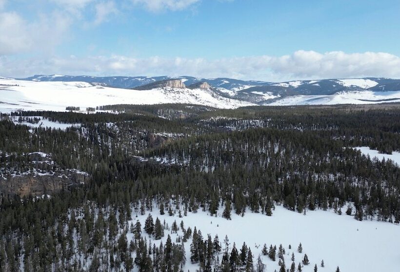 Отель Bear Lodge Resort