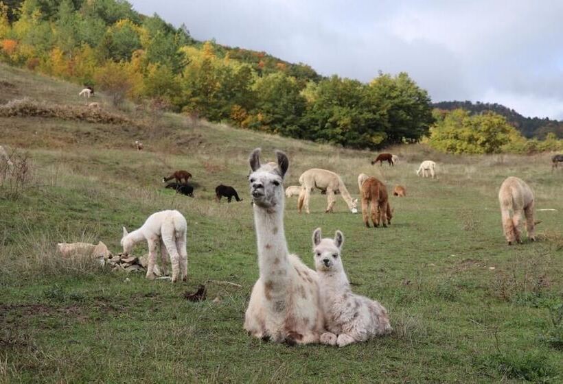 교외 호텔 Agriturismo Villaggio Eden