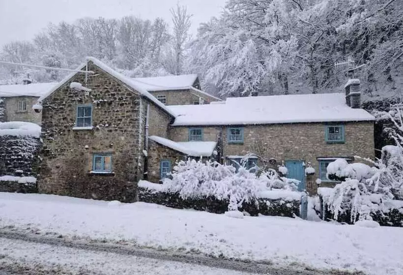 Rose Cottage   Cosy Cottage In Millers Dale