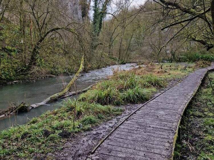 Rose Cottage Cosy Cottage In Millers Dale