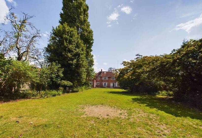The Richmond Park Hideaway Cozy 5bdr House With Garden + Rooftop Terrace