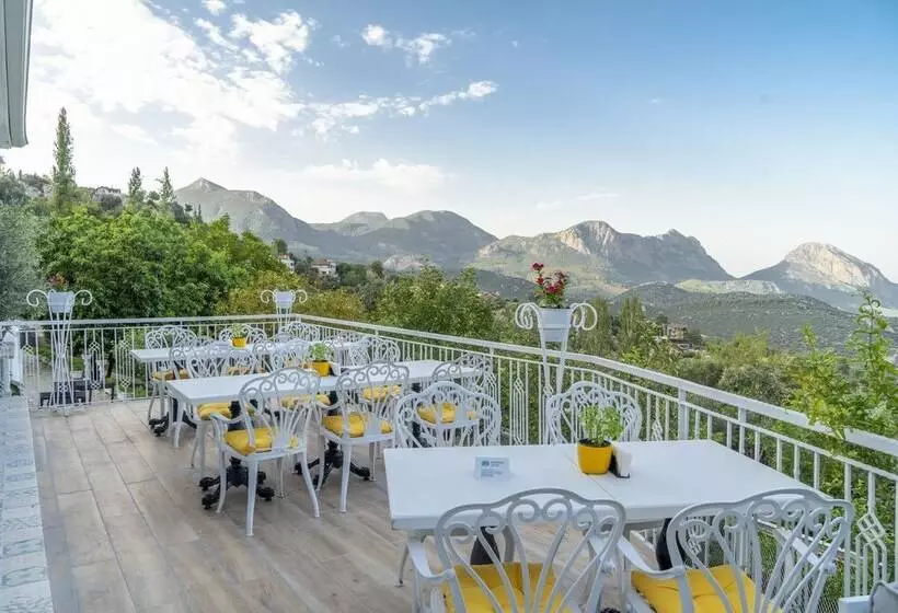 Hotelli Apa Mountain Lodge