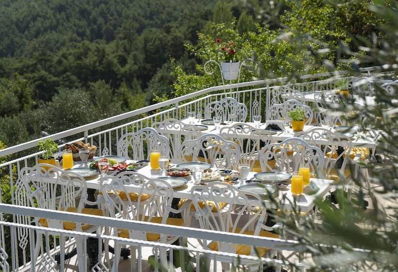 ホテル Apa Mountain Lodge