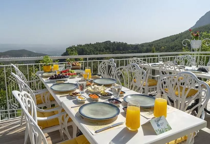 Hotelli Apa Mountain Lodge