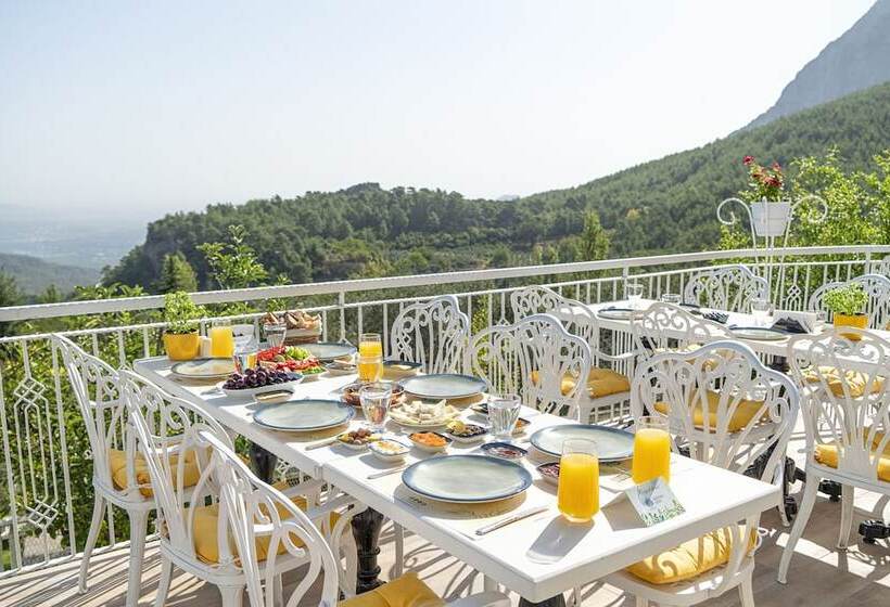 ホテル Apa Mountain Lodge