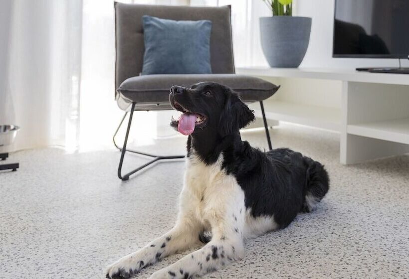 فندق Dormio Resort Nieuwvliet Bad