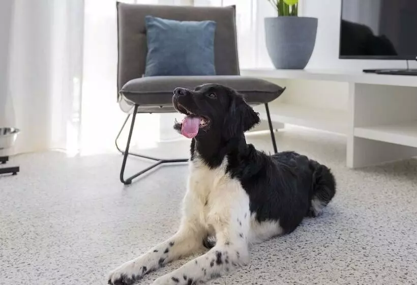 Hotelli Dormio Resort Nieuwvliet Bad