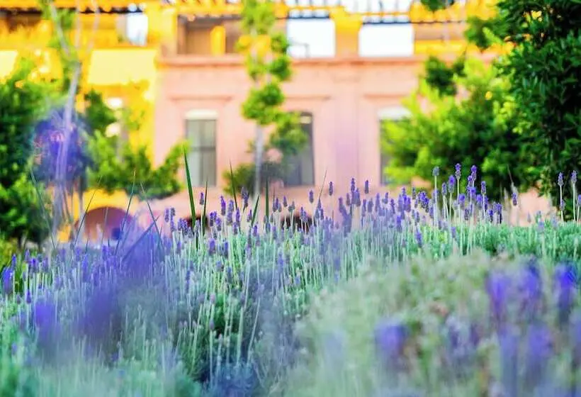 ホテル Krystal Grand Residences San Miguel de Allende