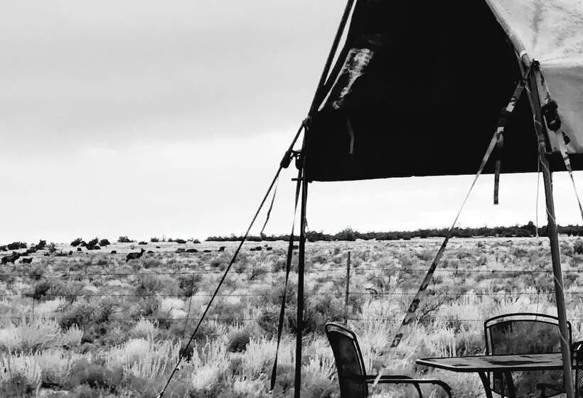 Hotelli Raptor Ranch