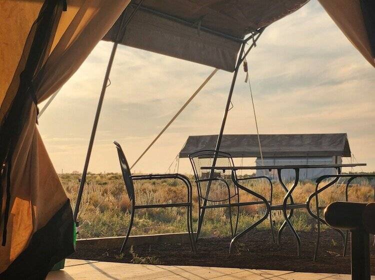 ホテル Raptor Ranch