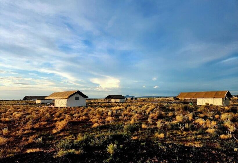 ホテル Raptor Ranch