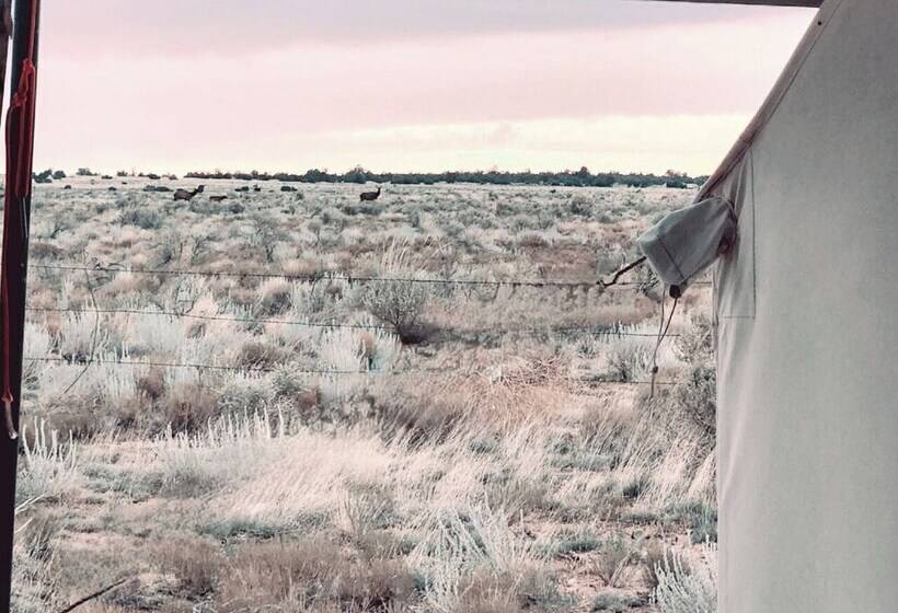 ホテル Raptor Ranch