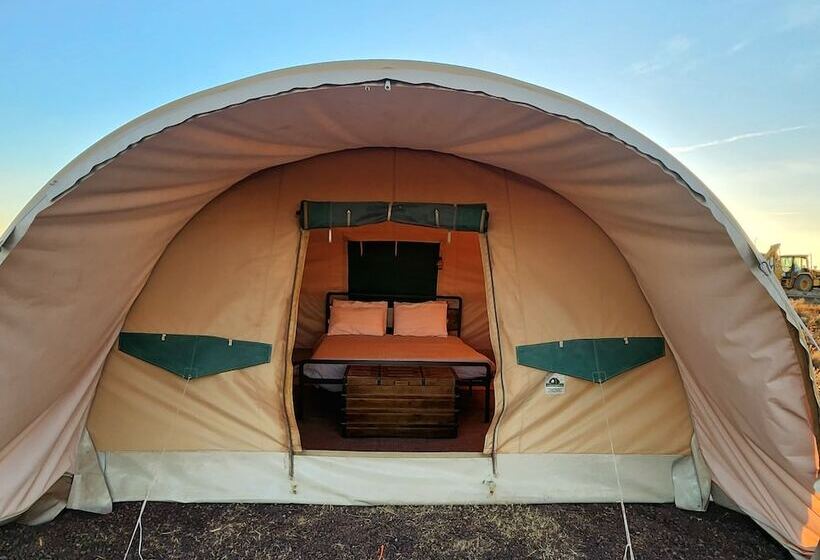 ホテル Raptor Ranch