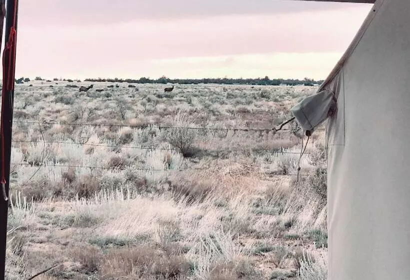 Hotelli Raptor Ranch