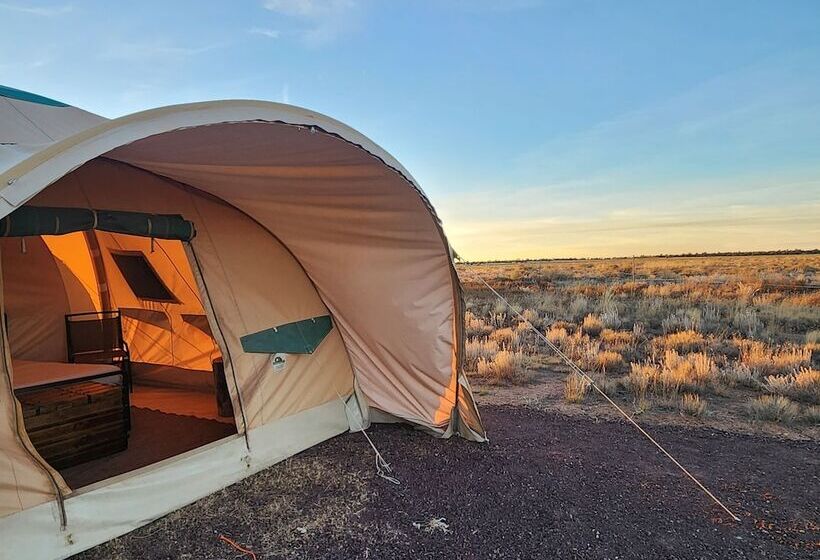 ホテル Raptor Ranch