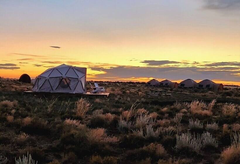 ホテル Raptor Ranch