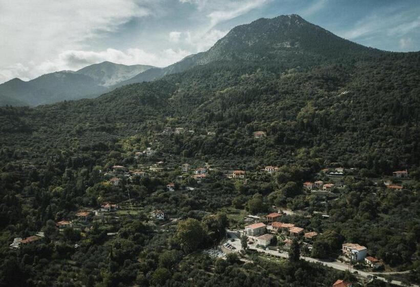 بنسيون Acropolis Mystra Guesthouse