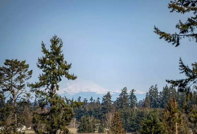 Port Angeles Home: 7 Mi To Olympic Natl Park!