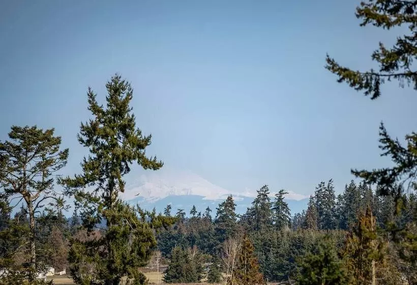 Port Angeles Home: 7 Mi To Olympic Natl Park!