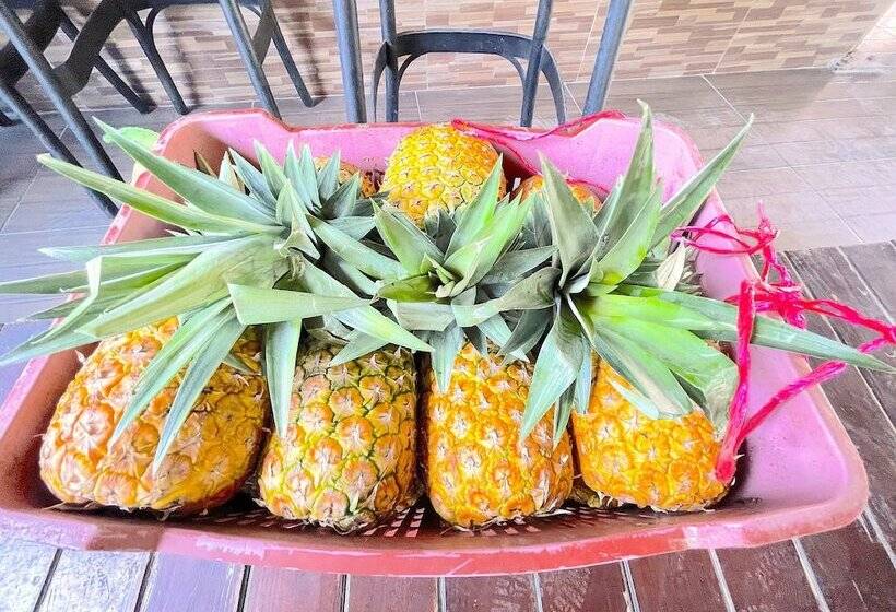 Relax Studios Deluxe Pool Wifi Beach