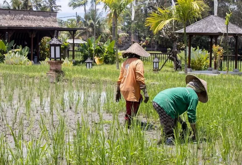 Lomakeskus Anumana Village Ubud