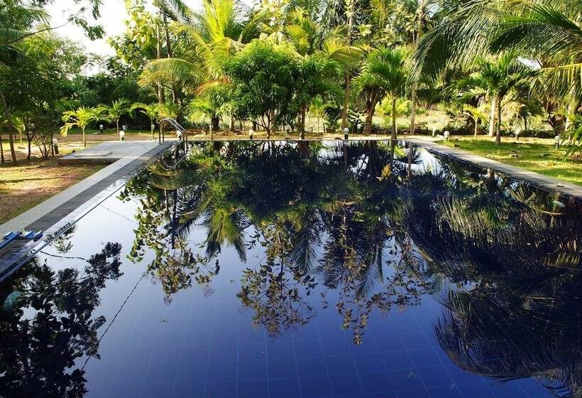 酒店 Asha Beach & Spa