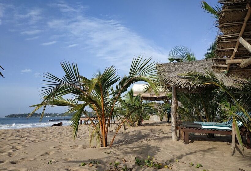 酒店 Asha Beach & Spa