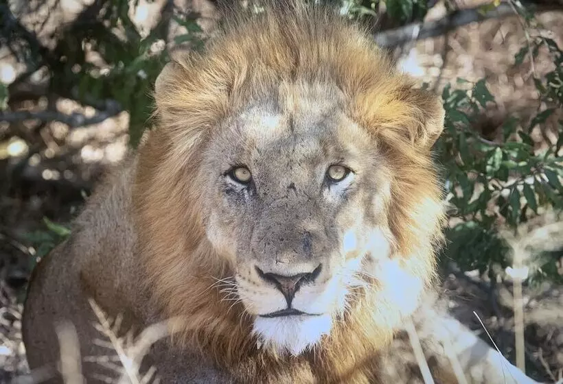 ホテル Kambaku River Lodge