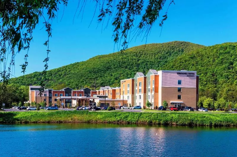 ホテル Springhill Suites By Marriott Fishkill