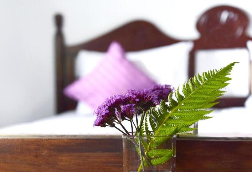 בית מלון כפרי The Golf Green City Bungalow