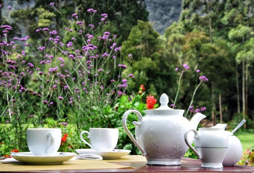 בית מלון כפרי The Golf Green City Bungalow